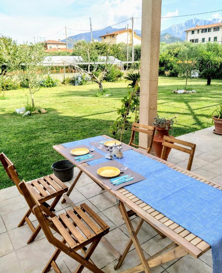 Agriturismo La Vite Maritata Pietrasanta Εξωτερικό φωτογραφία