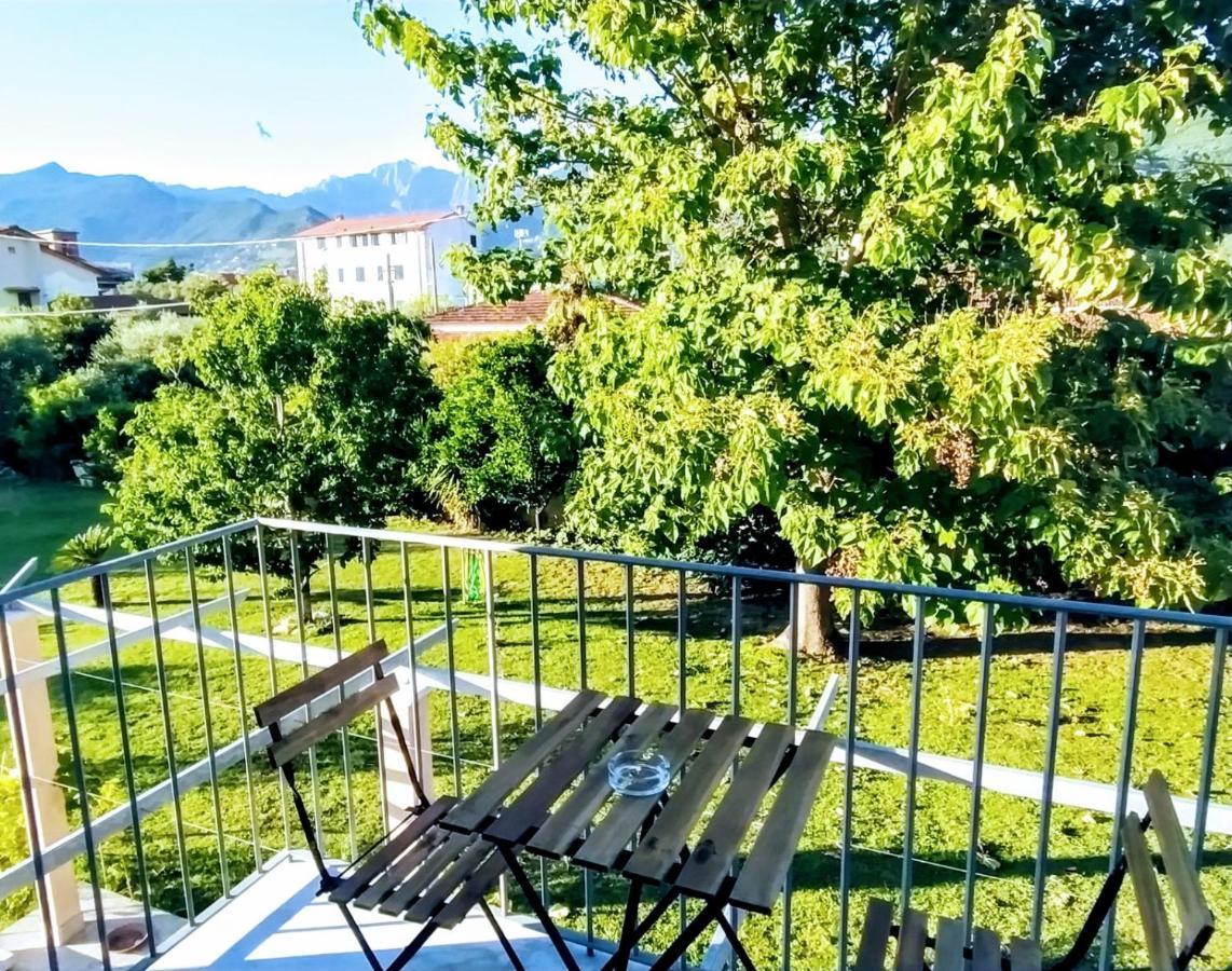 Agriturismo La Vite Maritata Pietrasanta Εξωτερικό φωτογραφία